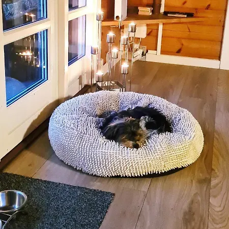 Cozy Haven Near Bork Harbor - By Traum Ferienwohnungen Holiday home Hemmet